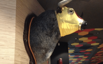 Eating out with 5 year olds