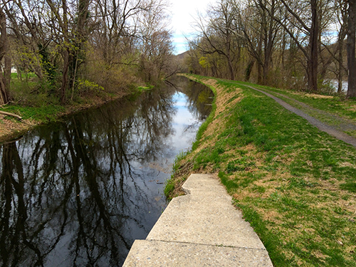 Saturday Morning Tow Path Run